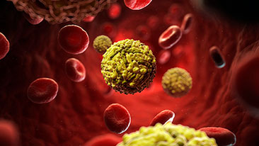 Kanker Serviks dan Cara Mencegahnya