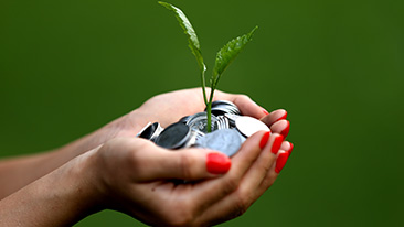 Perbandingan Tiga Jenis Investasi: Kesehatan, Properti, dan Pengetahuan. Mana yang Lebih Baik?