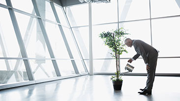 5 Tanaman Herbal Peningkat Imun Tubuh